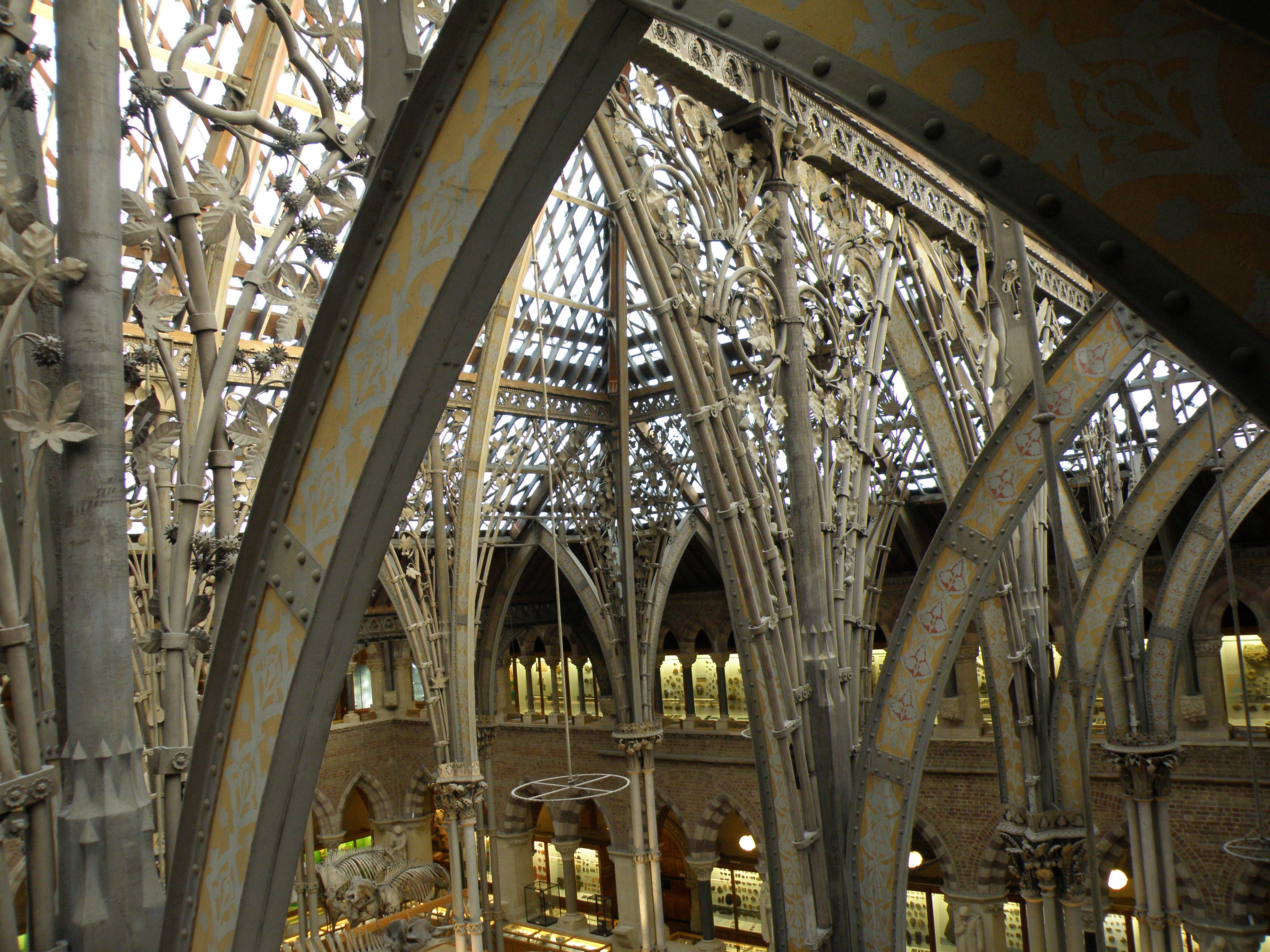 Oxford Museum Of Natural History Architecture Oxford Museum Of Natural History Architecture